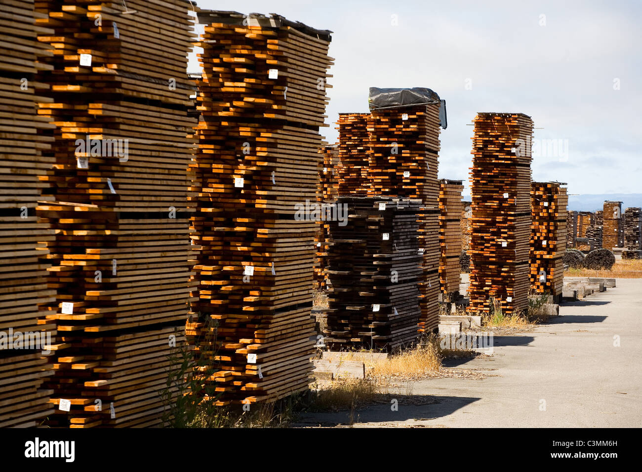 Logging lumber redwood hires stock photography and images Alamy