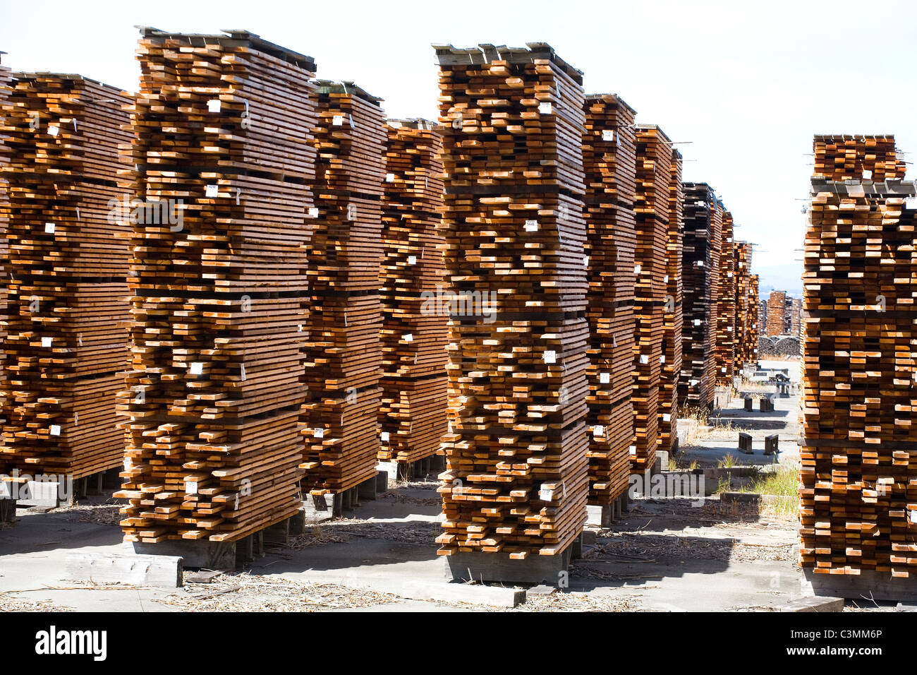 Mendocino Redwood Company and Humboldt Redwood Company lumber Mill in
