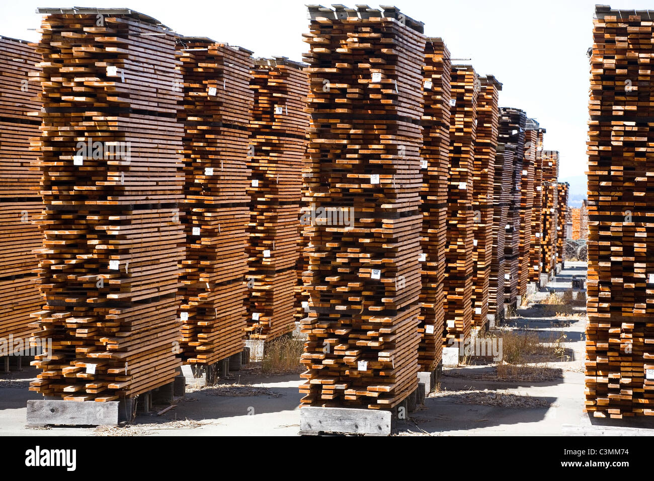 Logging lumber redwood hires stock photography and images Alamy