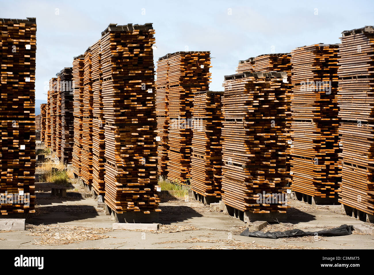 Logging lumber redwood hires stock photography and images Alamy