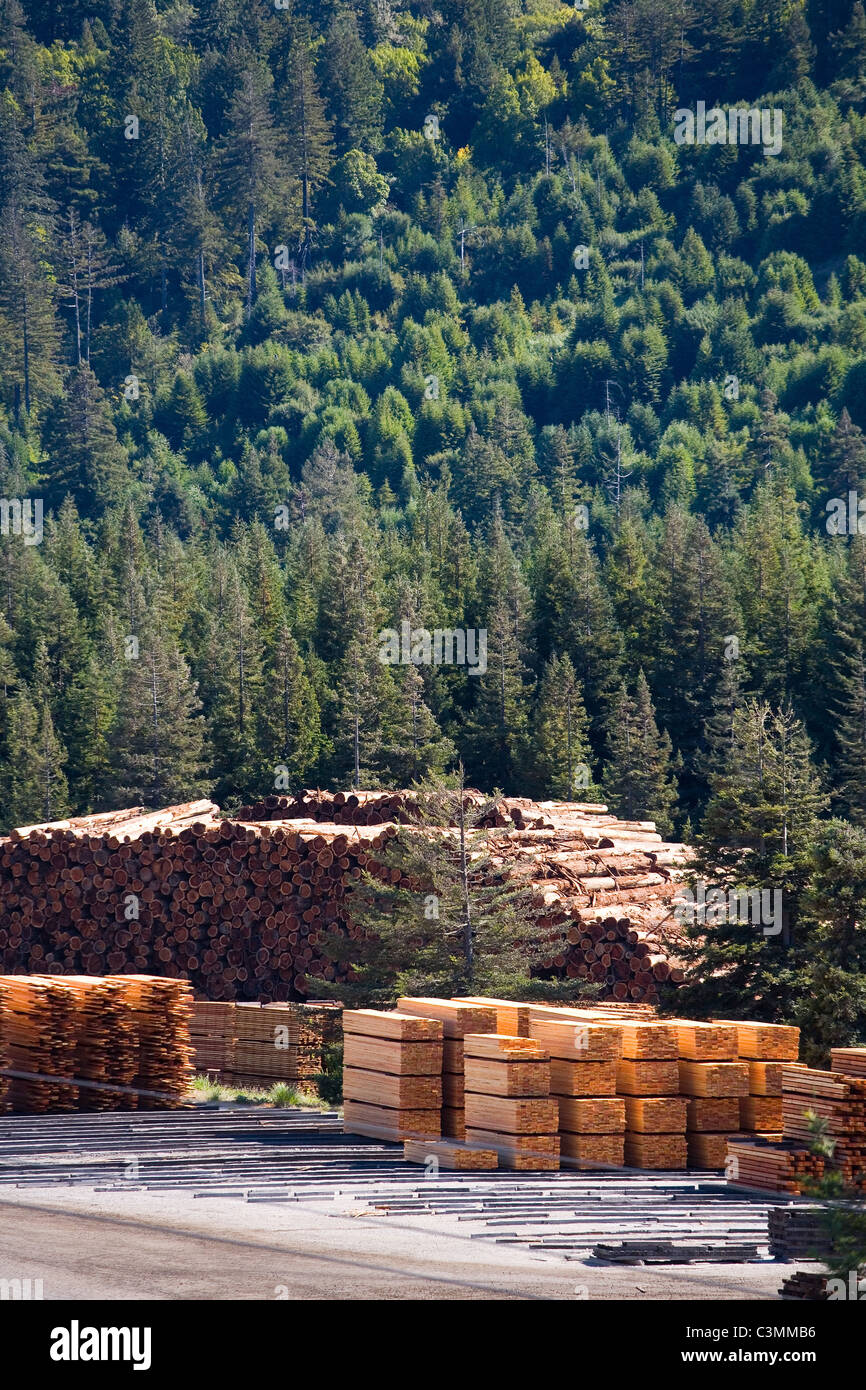 Log home build hires stock photography and images Alamy
