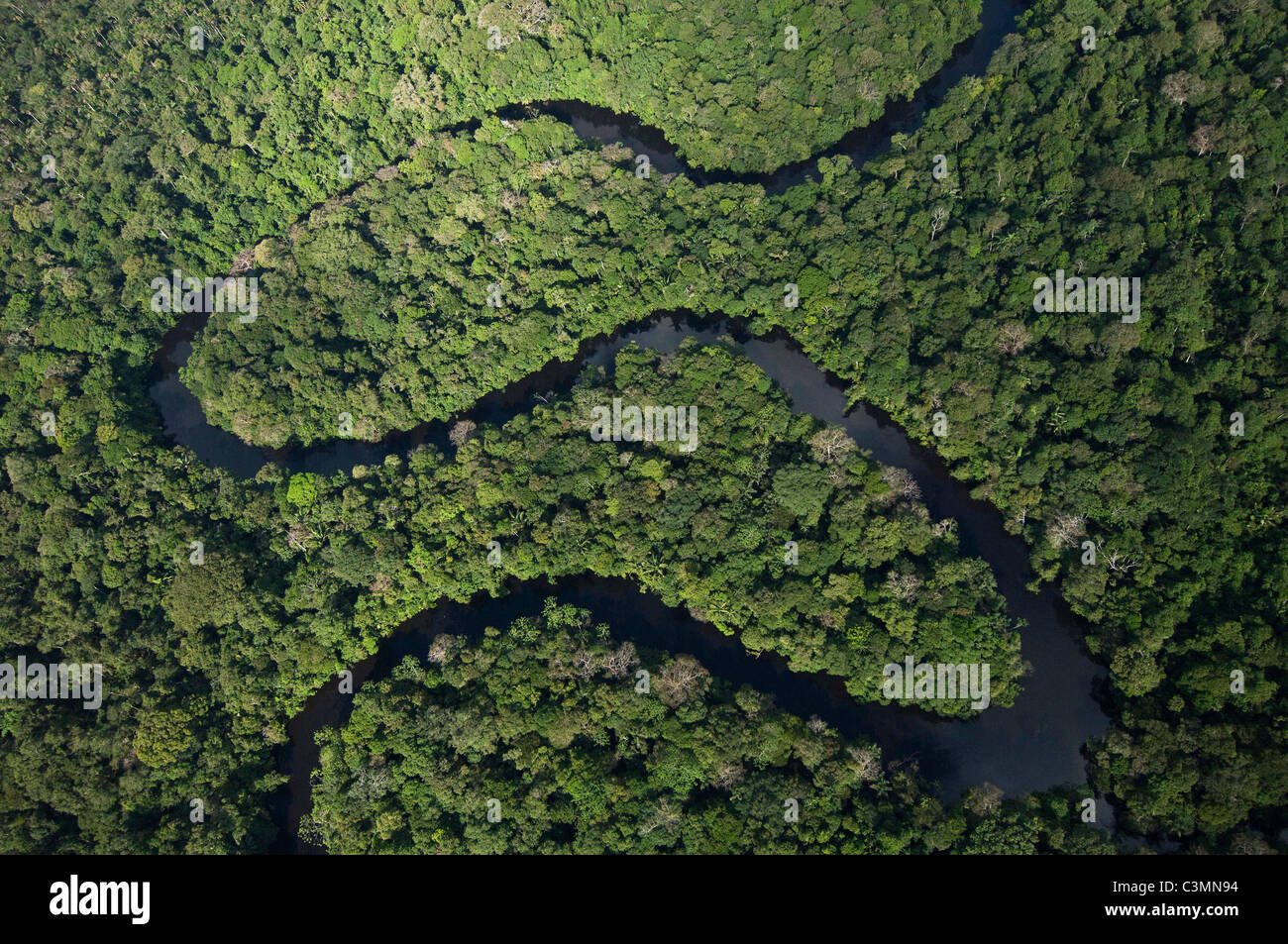 Meandering river in Cuyabeno Reserve., Amazonasregenwald Stock Photo ...