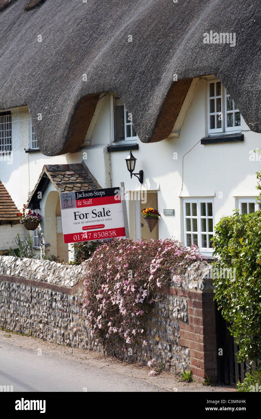 Wyndbrook Cottage charming thatched cottage in Tarrant Monkton