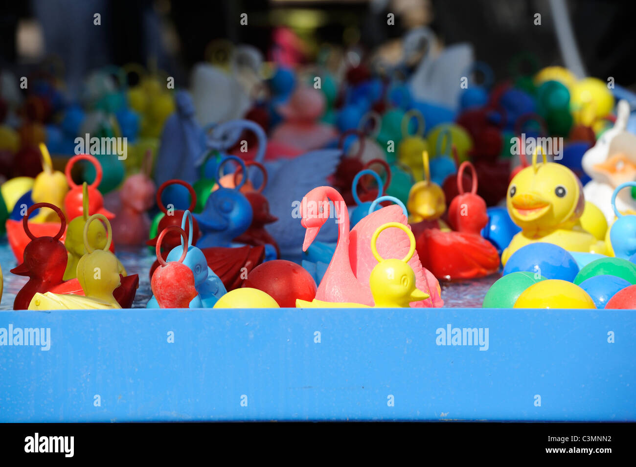 30+ Hook A Duck Game Stock Photos, Pictures & Royalty-Free Images - iStock