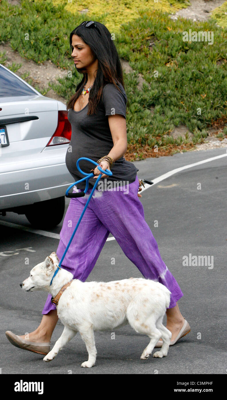 Camila Alves showing off her baby bump while dropping off her dogs at a