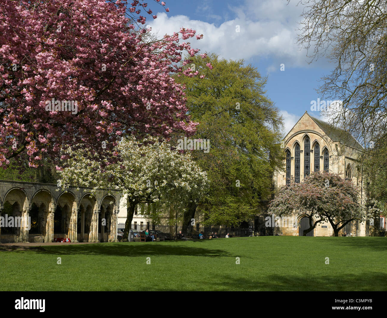 Deans Park and Minster Library in spring York North Yorkshire England
