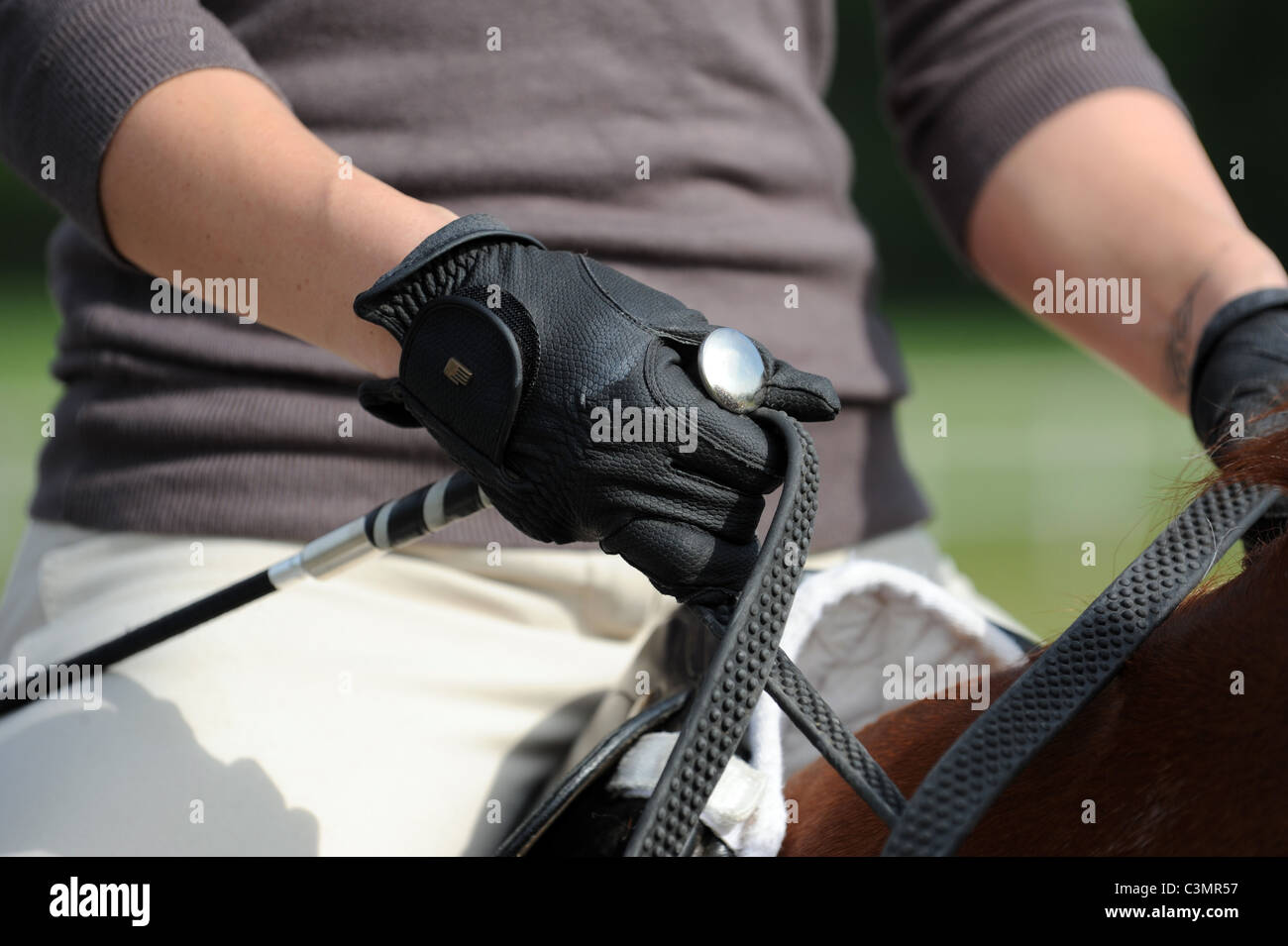 Close up of a Horse Riders Riding Gloves holding the Reins Stock Photo Alamy