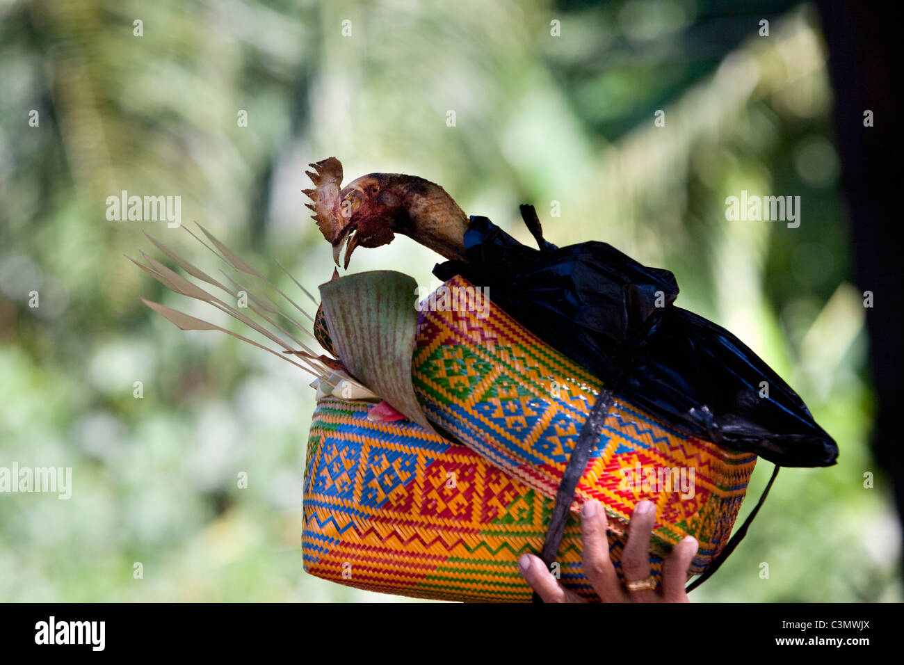 Indonesia, Island Bali, Alassari, Sea temple called Pura Ponjok Batu. Festival to honor the gods of the sea. Chicken, offerings. Stock Photo