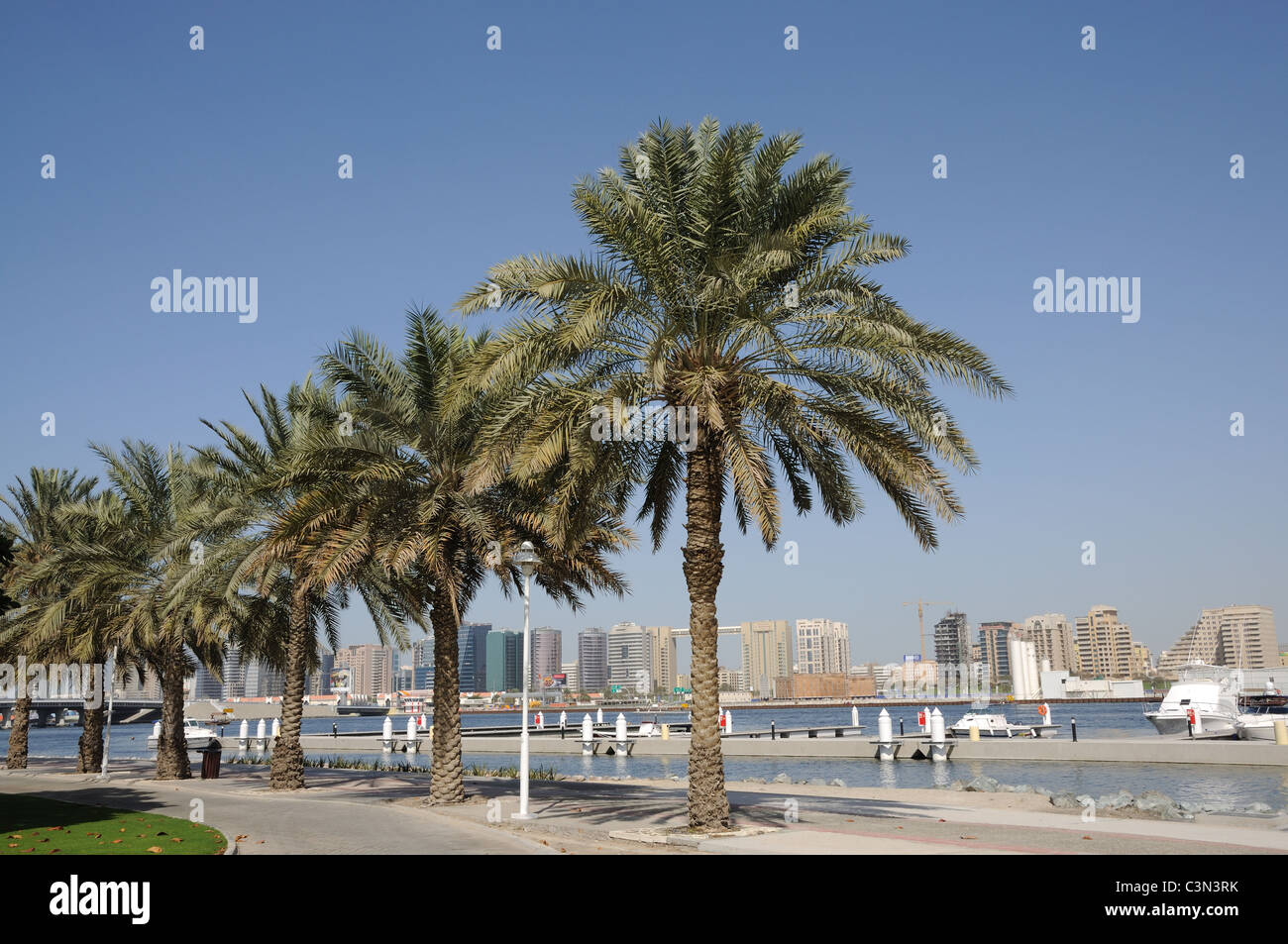 Palm Trees at Dubai Creek, United Arab Emirates Stock Photo Alamy