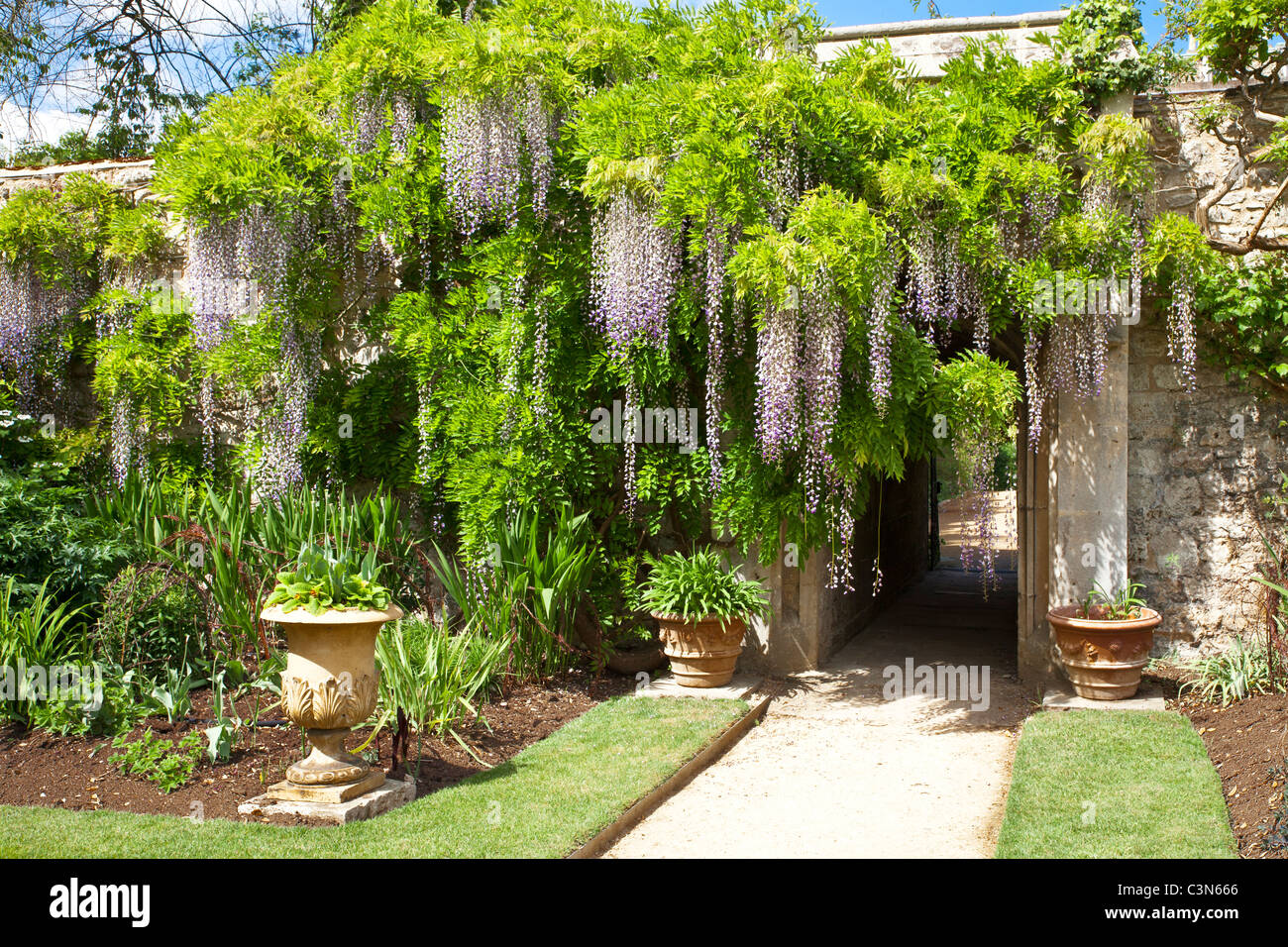 The grounds of Worcester College, Oxford University, Oxfordshire, England, UK, Great Britain Stock Photo