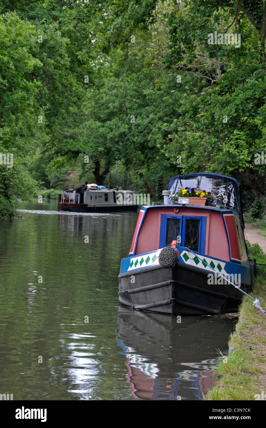 Canal boats on River Wey, Surrey, England Stock Photo