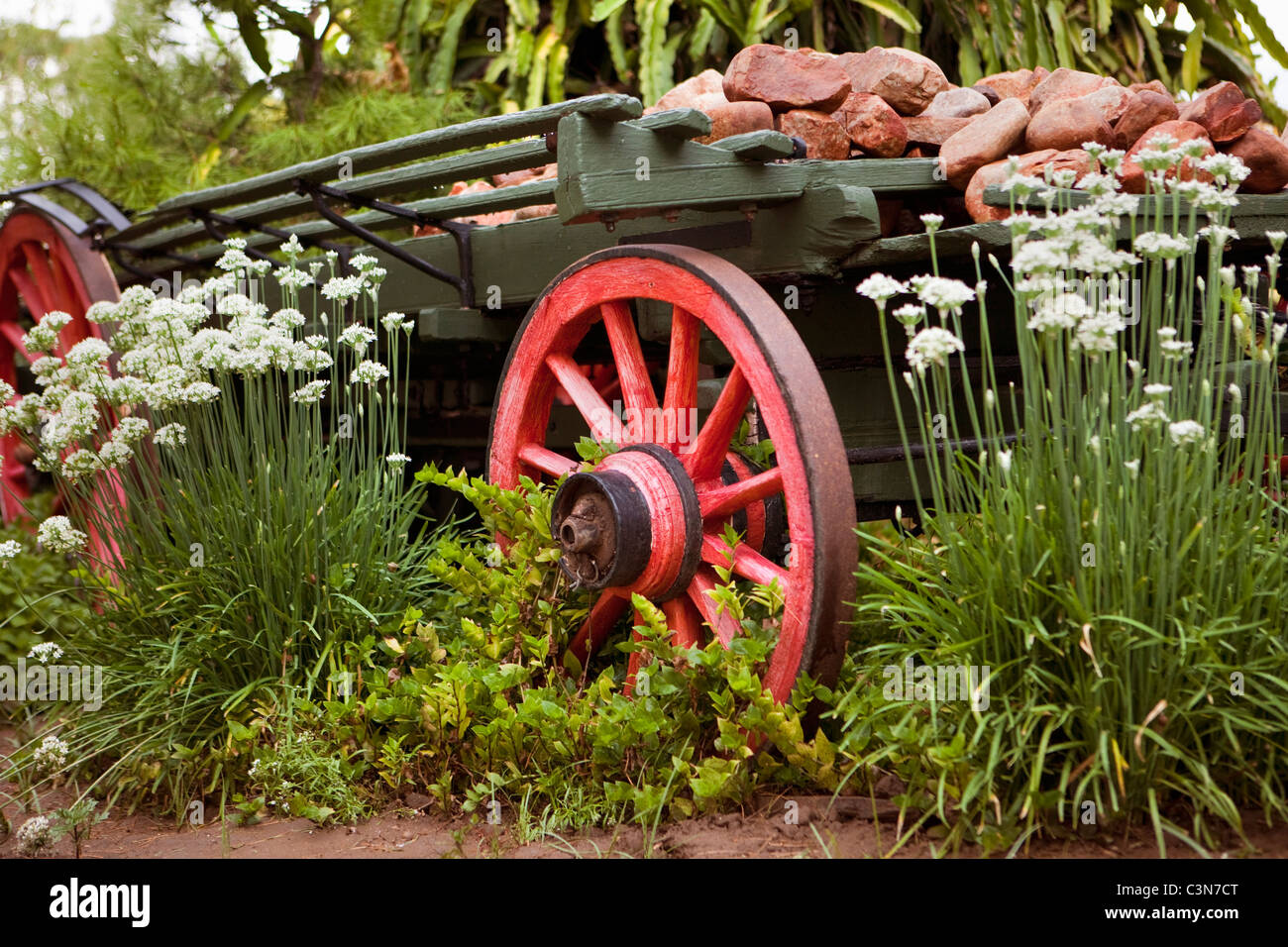South Africa, Western Cape, Calitzdorp, Red Mountain Nature Reserve. Former ox cart. Stock Photo