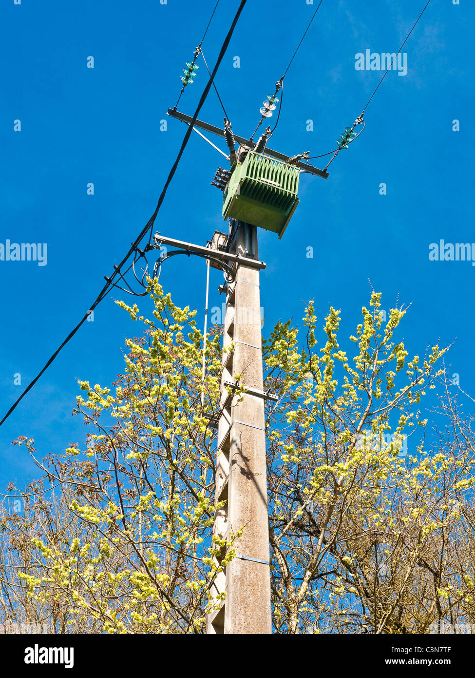 Tree branches growing near 3-phase electricity supply post and wires - France. Stock Photo