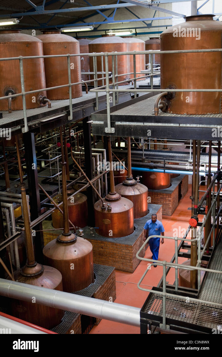 Kwv brandy cellar hires stock photography and images Alamy