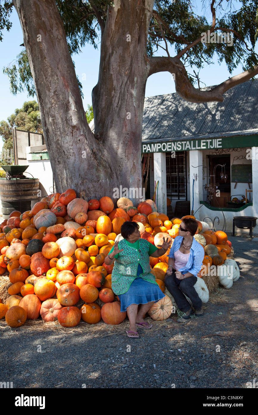 South Africa, Western Cape, Worcester. Pumpkins for sale at country store. Stock Photo
