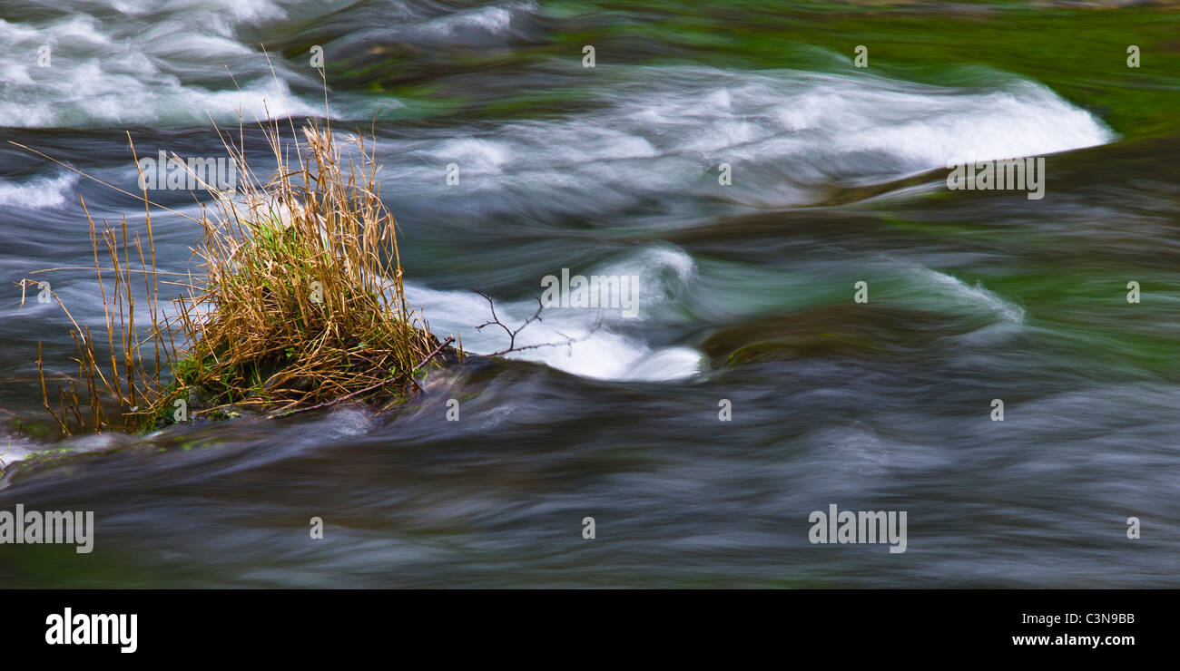The River Dove, Dovedale Stock Photo