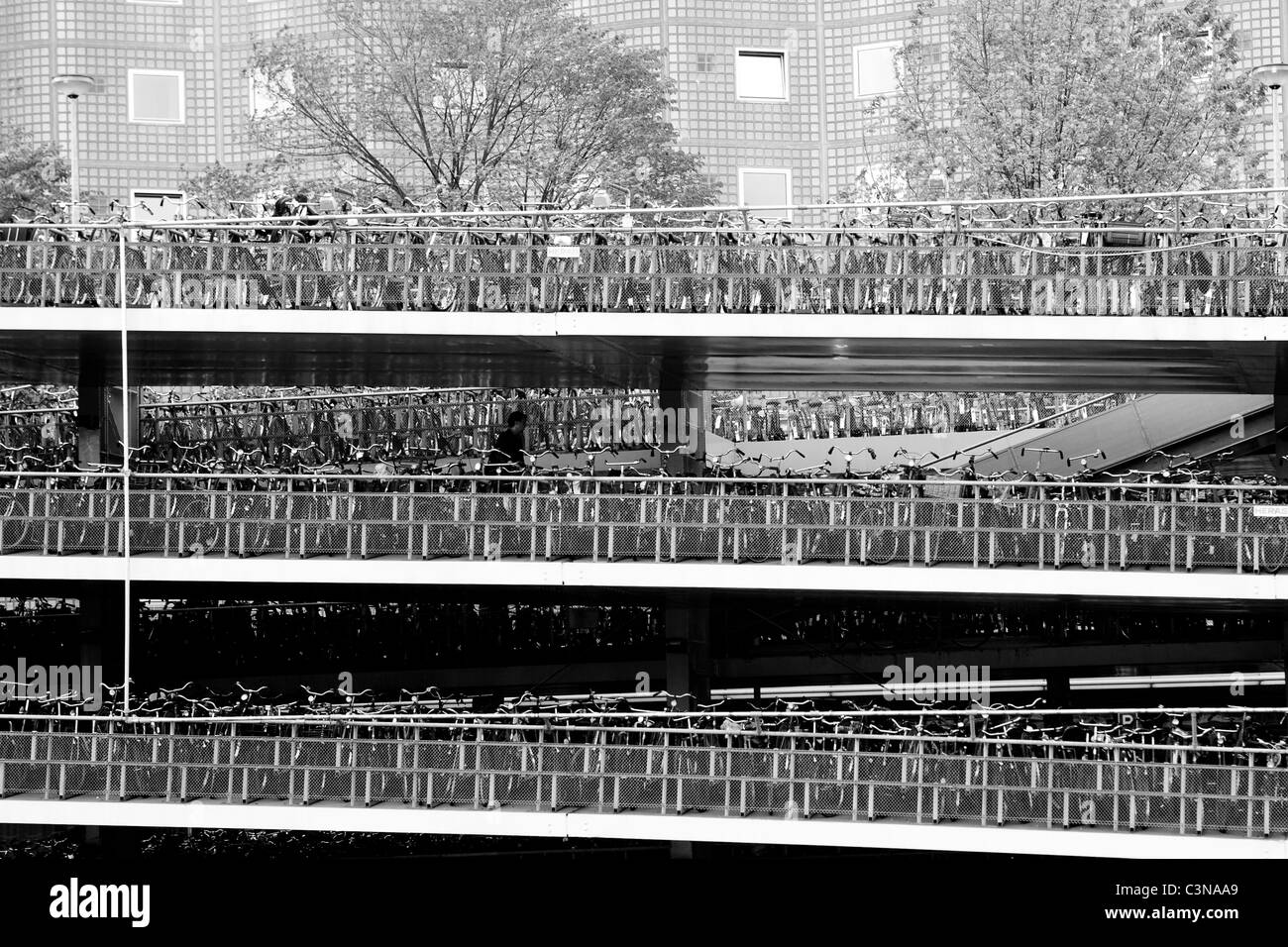 Bicycle parking at Amsterdam train station. Amsterdam, the Netherlands