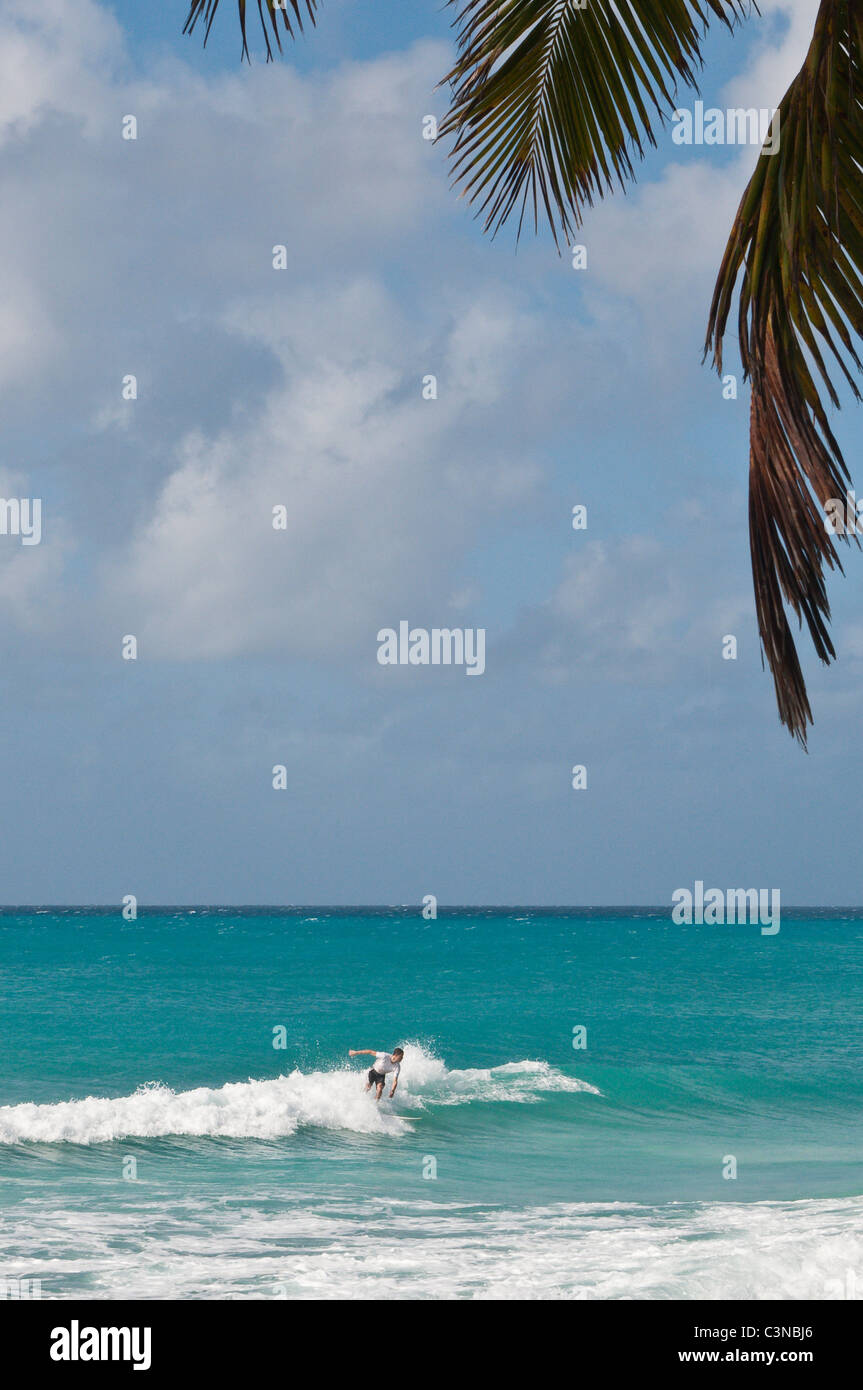 Surfers at Enterprise Point Beach Barbados, Caribbean Stock Photo Alamy