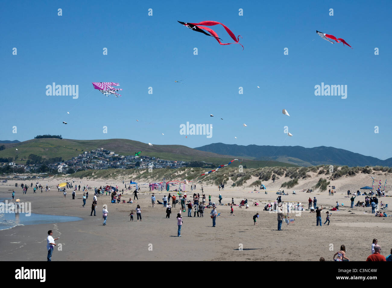 Kite Festival at Morro Bay Beach Stock Photo Alamy