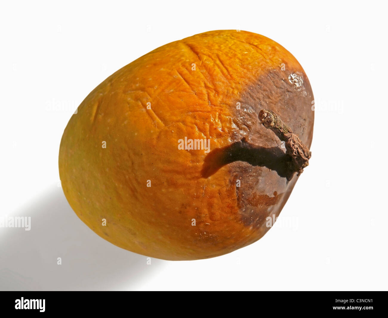 top view two pieces rotten mangos close up on a white background Stock  Photo - Alamy