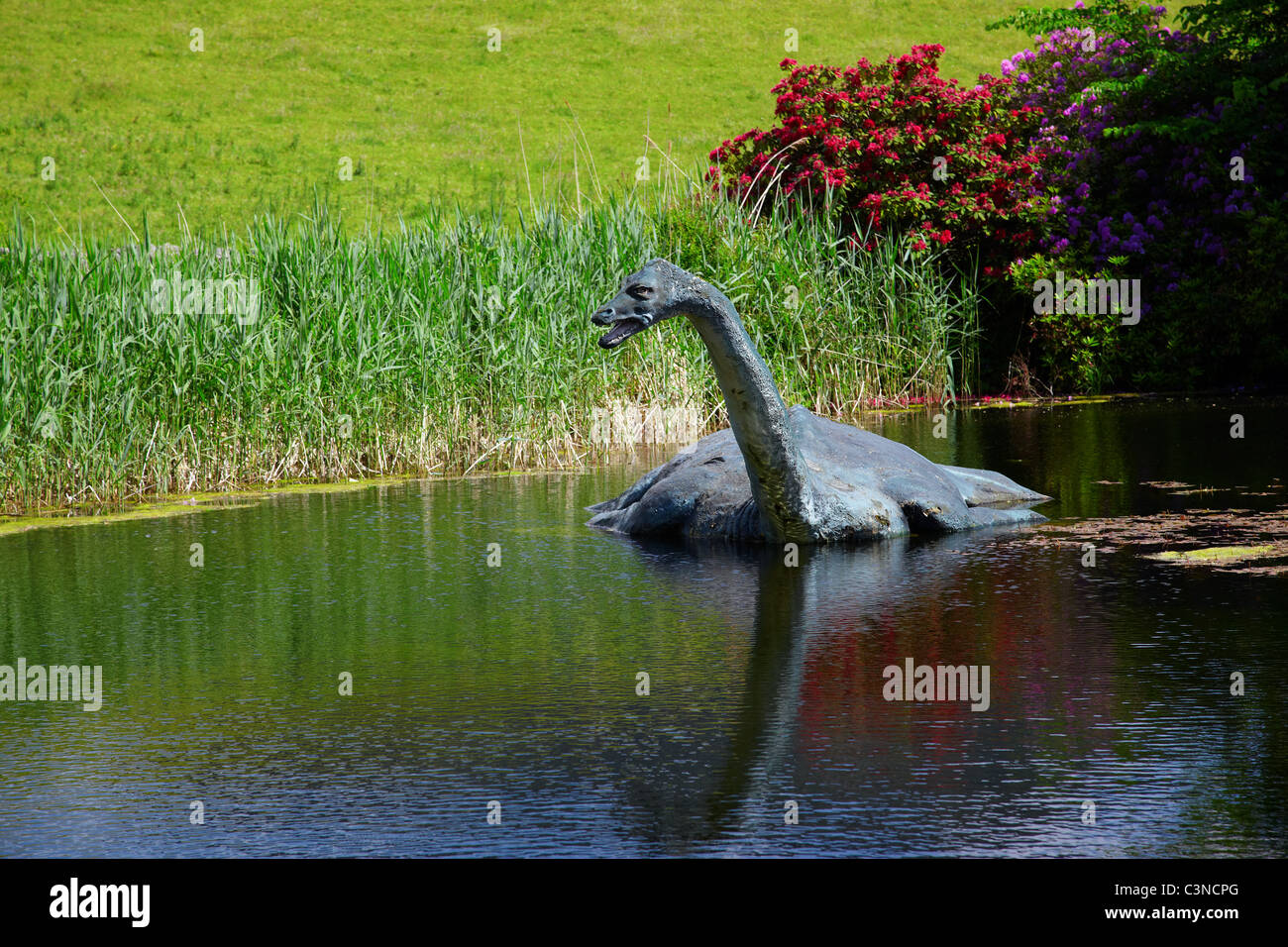 Monster Nessi in Loch Ness waters, Scotland Stock Photo - Alamy