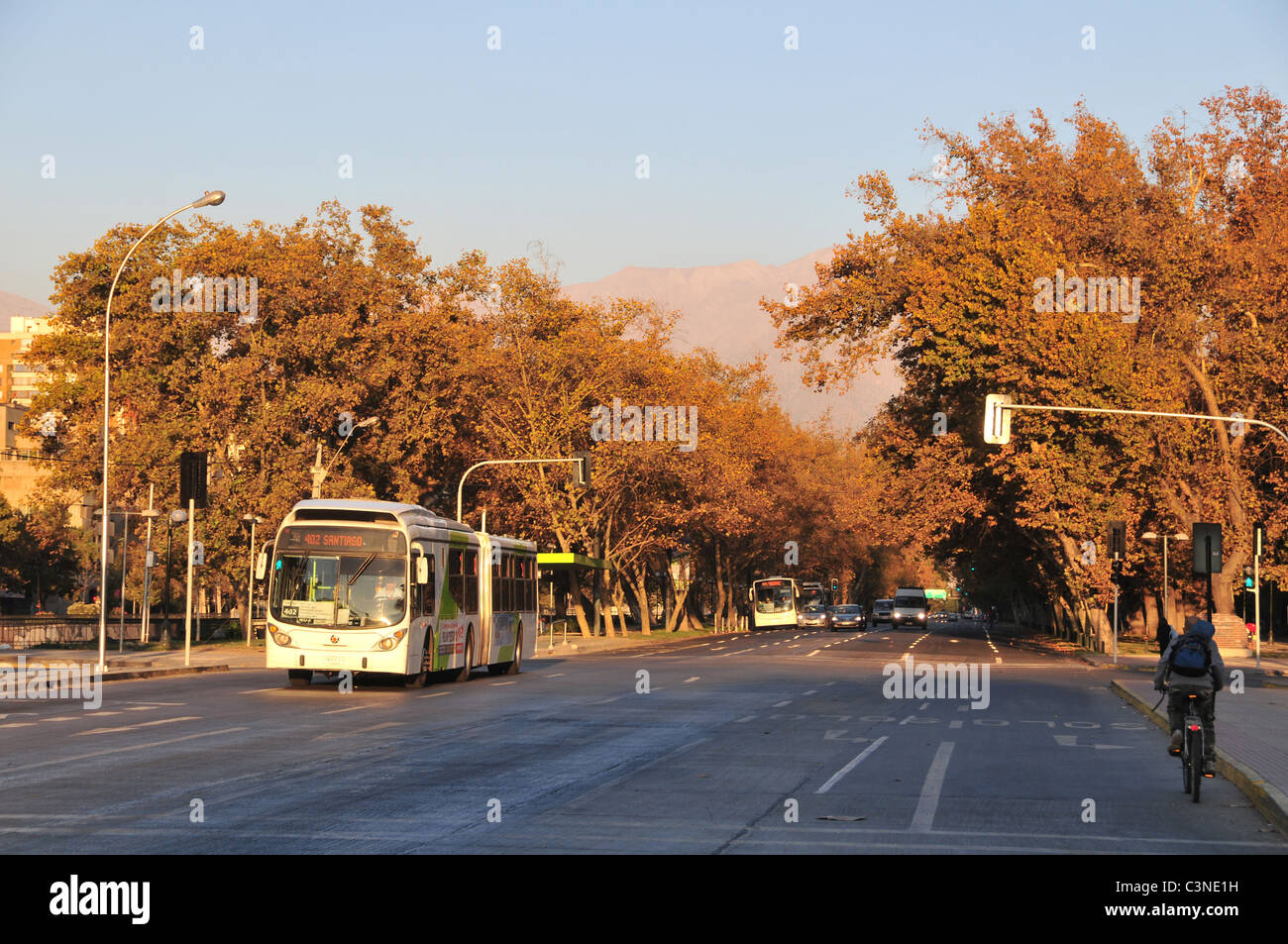 Evening sun view, towards Andes, of brown autumnal trees and buses, Avenida Jose Maria Caro, Parque Forestal, Santiago, Chile Stock Photo