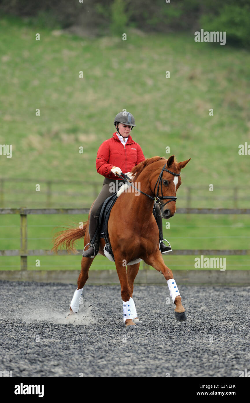 A Woman schooling her Horse in Dressage in an Outdoor School Stock