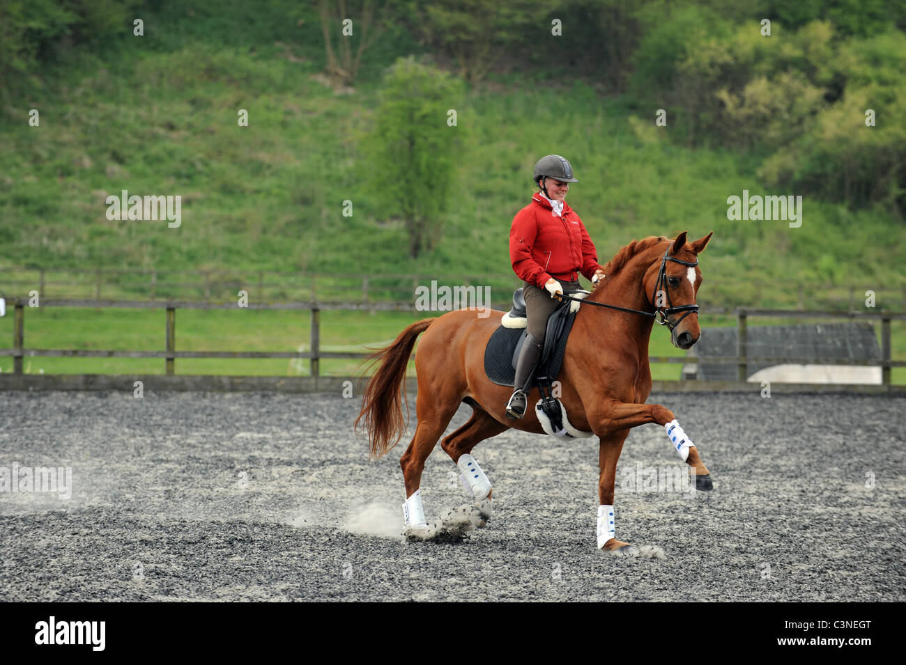 A Woman schooling her Horse in Dressage in an Outdoor School Stock