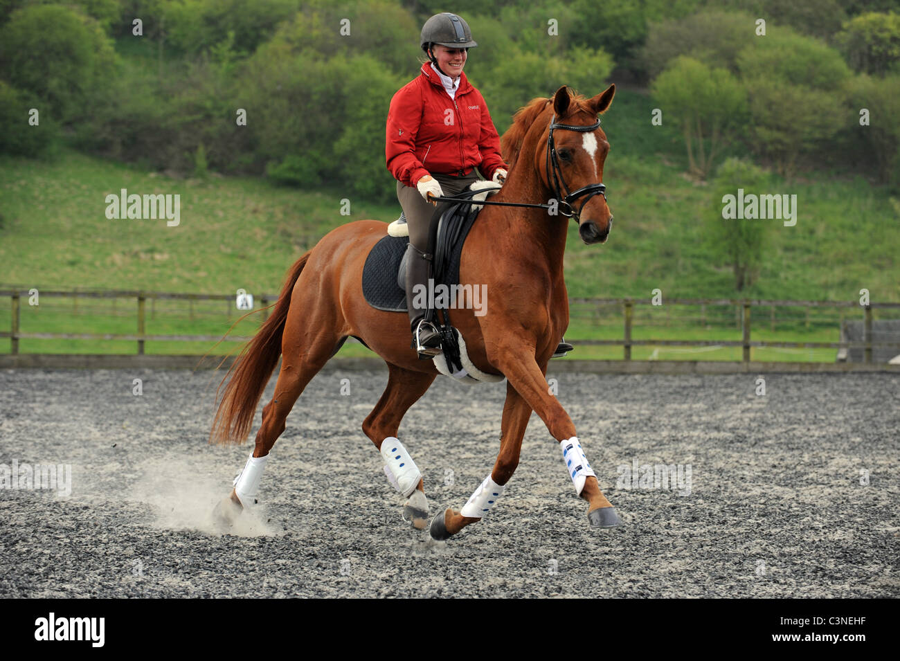A Woman schooling her Horse in Dressage in an Outdoor School Stock