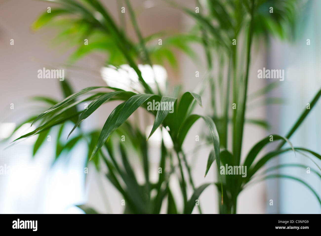 1 1 4 Mark Hi res Stock Photography And Images Alamy 1-1-4-mark-hi-res-stock-photography-and-images-alamy