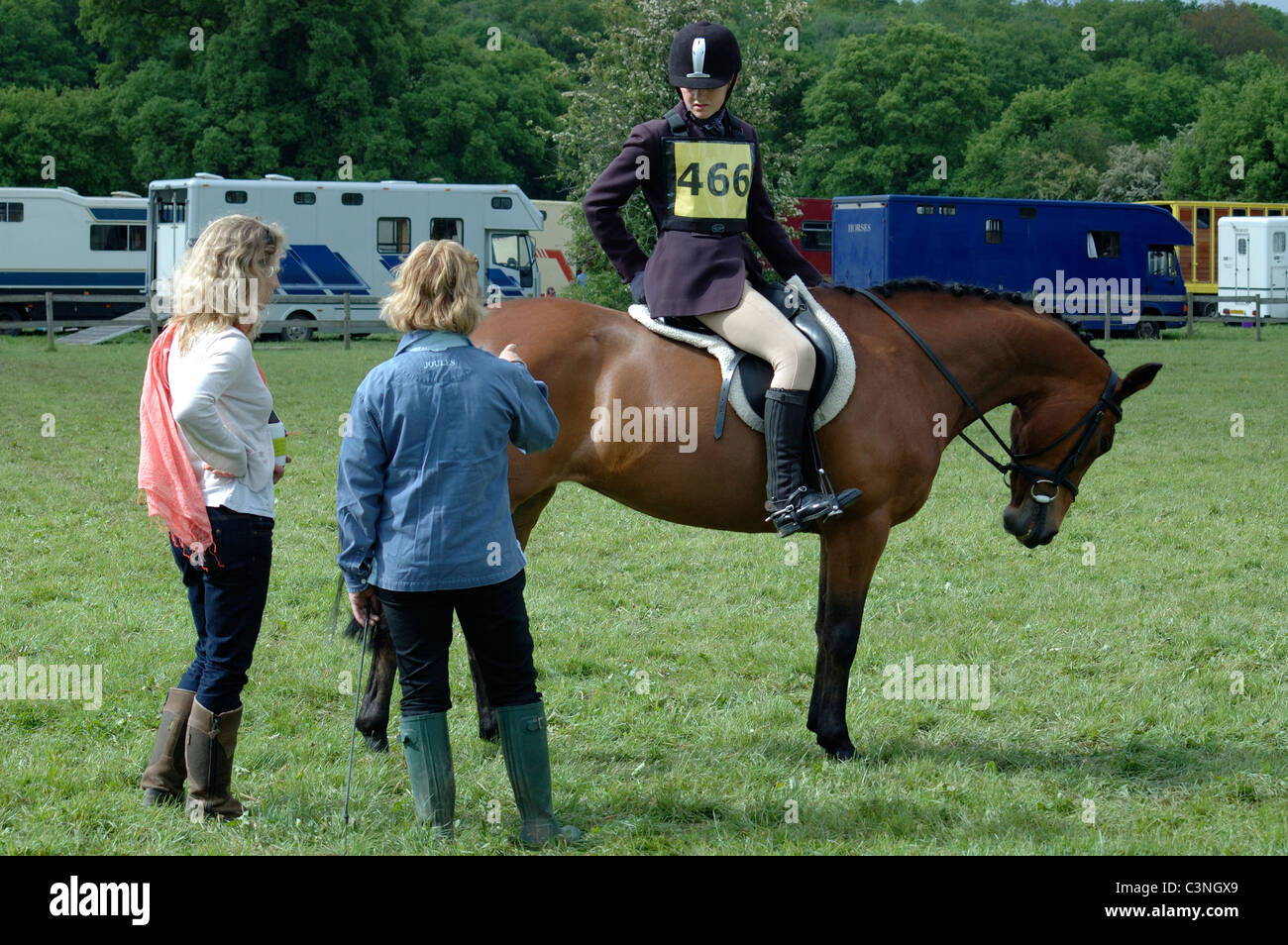horse and rider Stock Photo Alamy