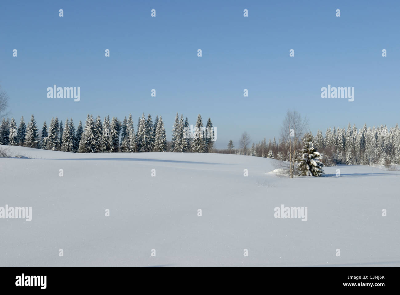 Winter snowy landscape in hi-res stock photography and images - Alamy