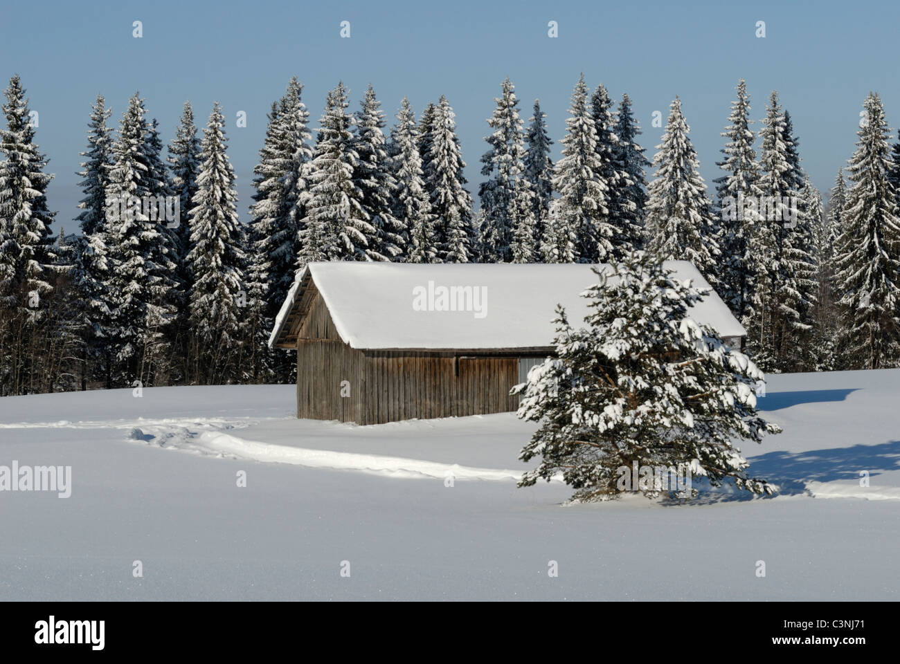 Snowy fields and a barn Stock Photo - Alamy