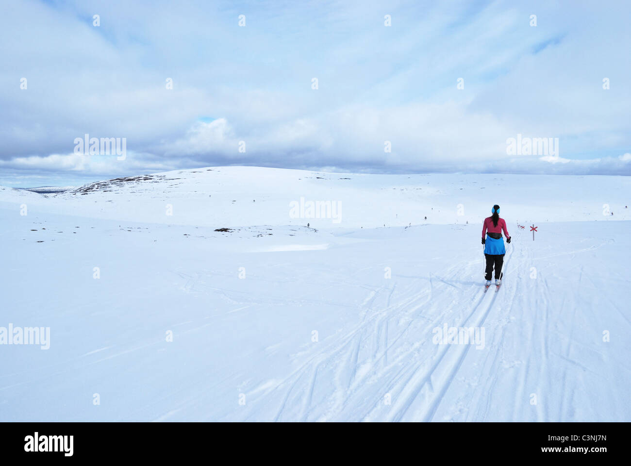 Cross country skiing in UKK National Park, Saariselka, Inari, Finnish  Lappland Stock Photo - Alamy