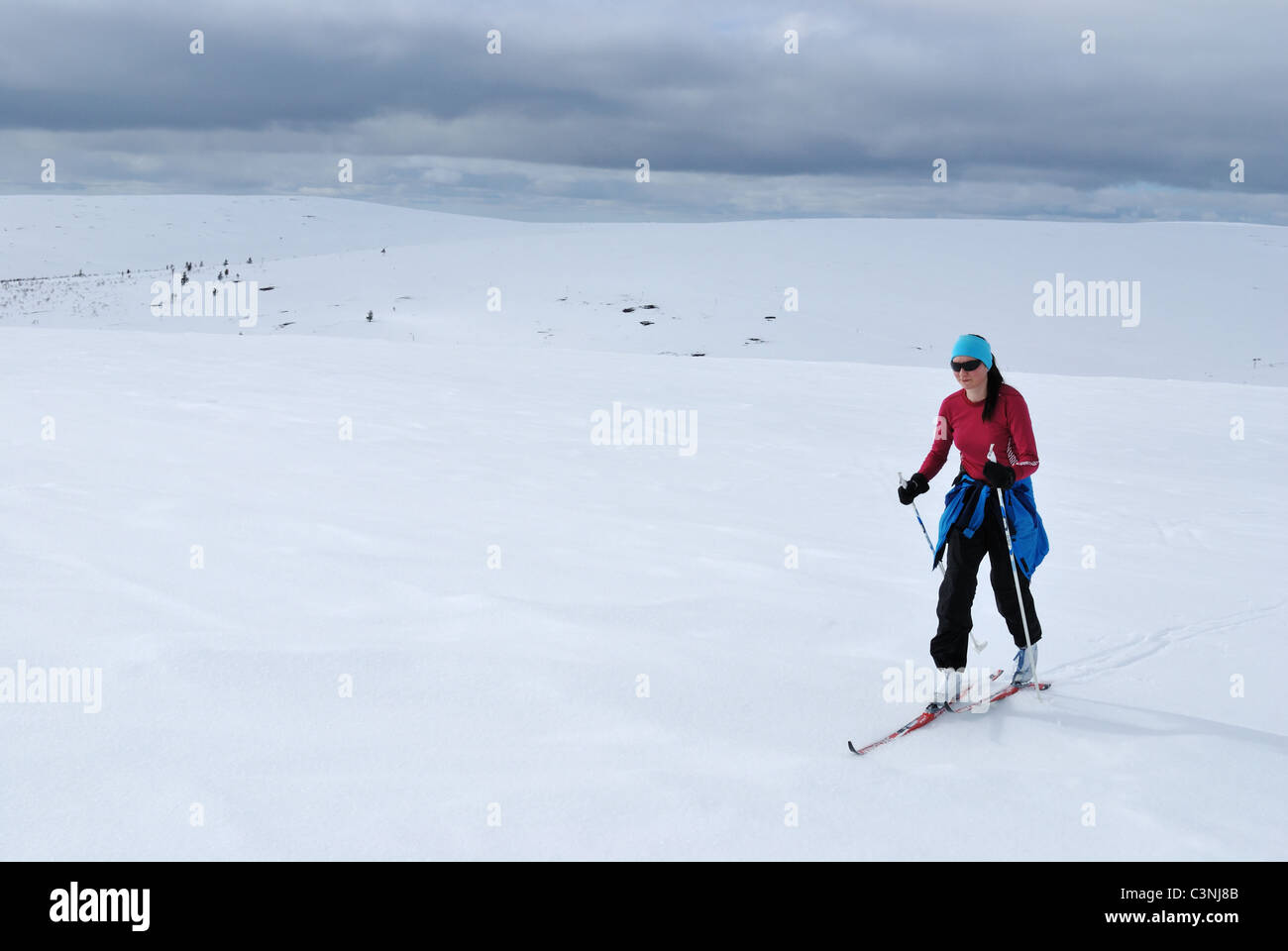Cross country skiing in UKK National Park, Saariselka, Inari, Finnish  Lappland Stock Photo - Alamy