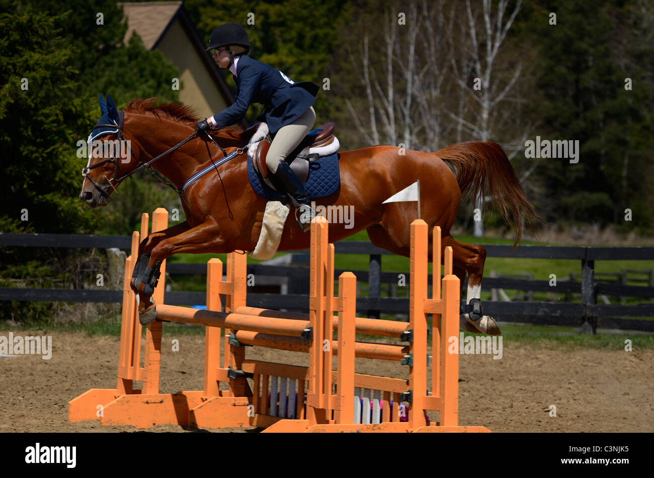 Oxer Jump High Resolution Stock Photography and Images Alamy