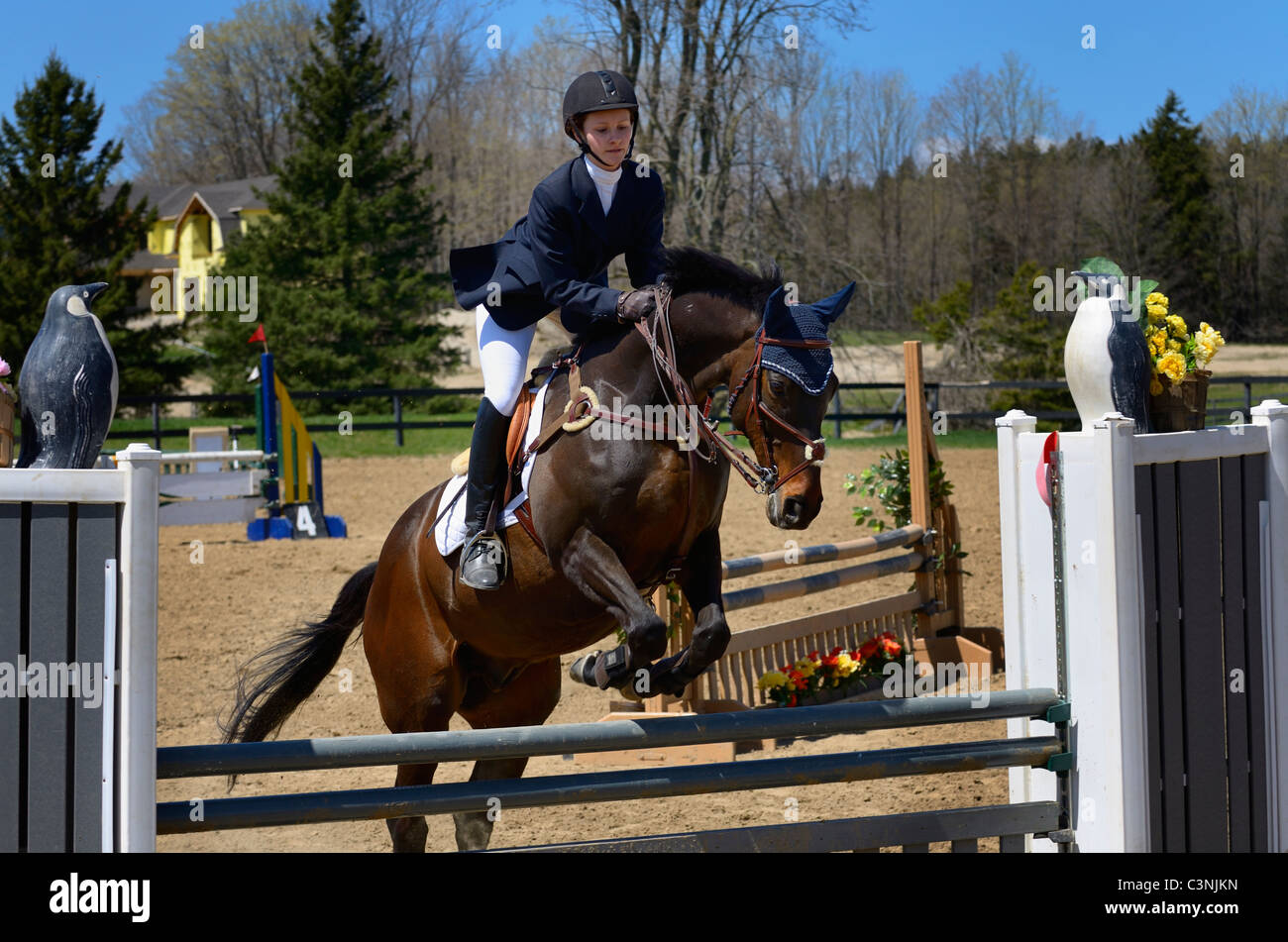 Teenage girl taking off on her thoroughbred horse over a jump at an