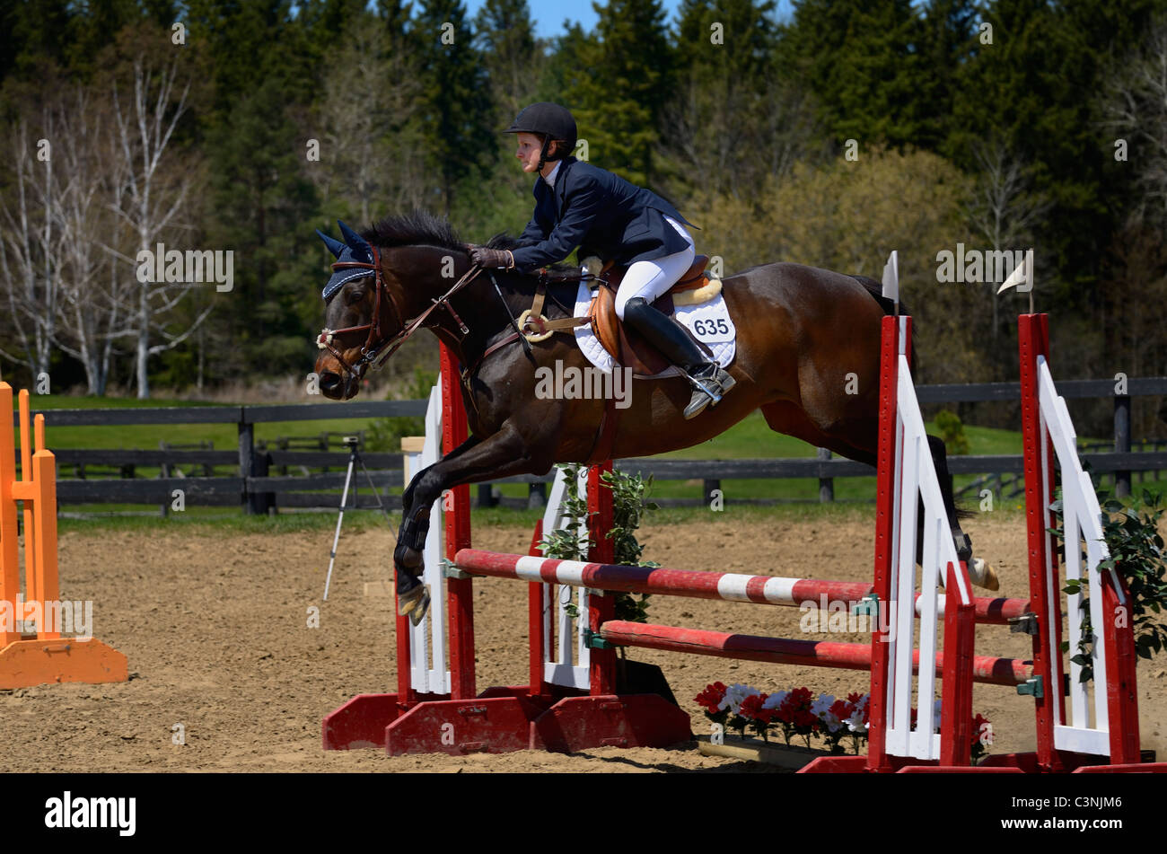 Horse jumping over fence hires stock photography and images Alamy