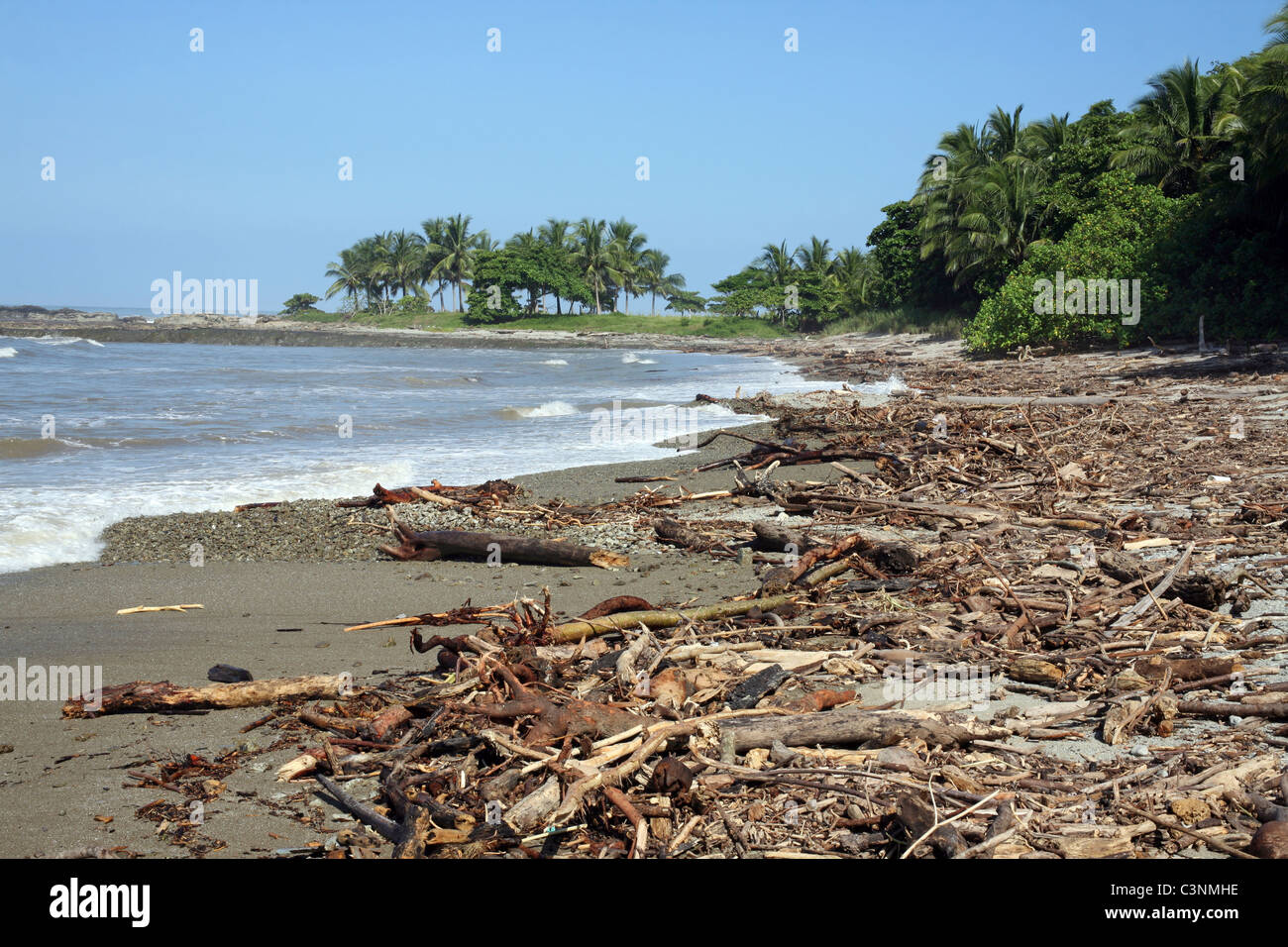 Beach covered in driftwood from recent heavy rain, which swelled the rivers. Mal Pais, Puntarenas, Costa Rica, Central America Stock Photo