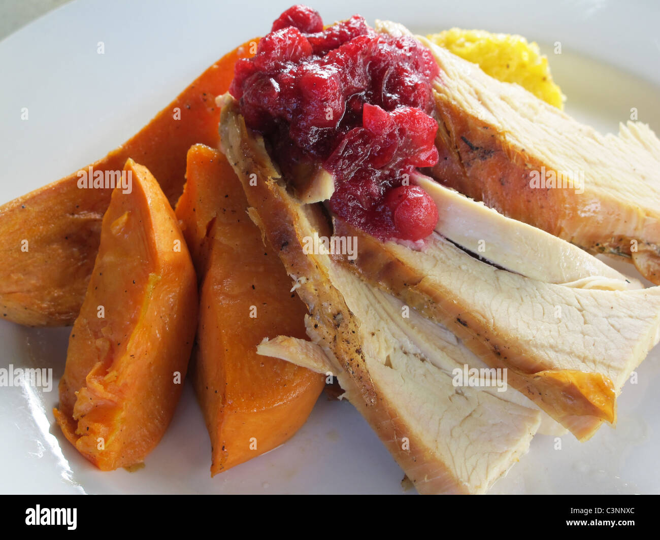 Lovely dish of Sliced Turkey, Cranberry Sauce and Diced Yellow Yams