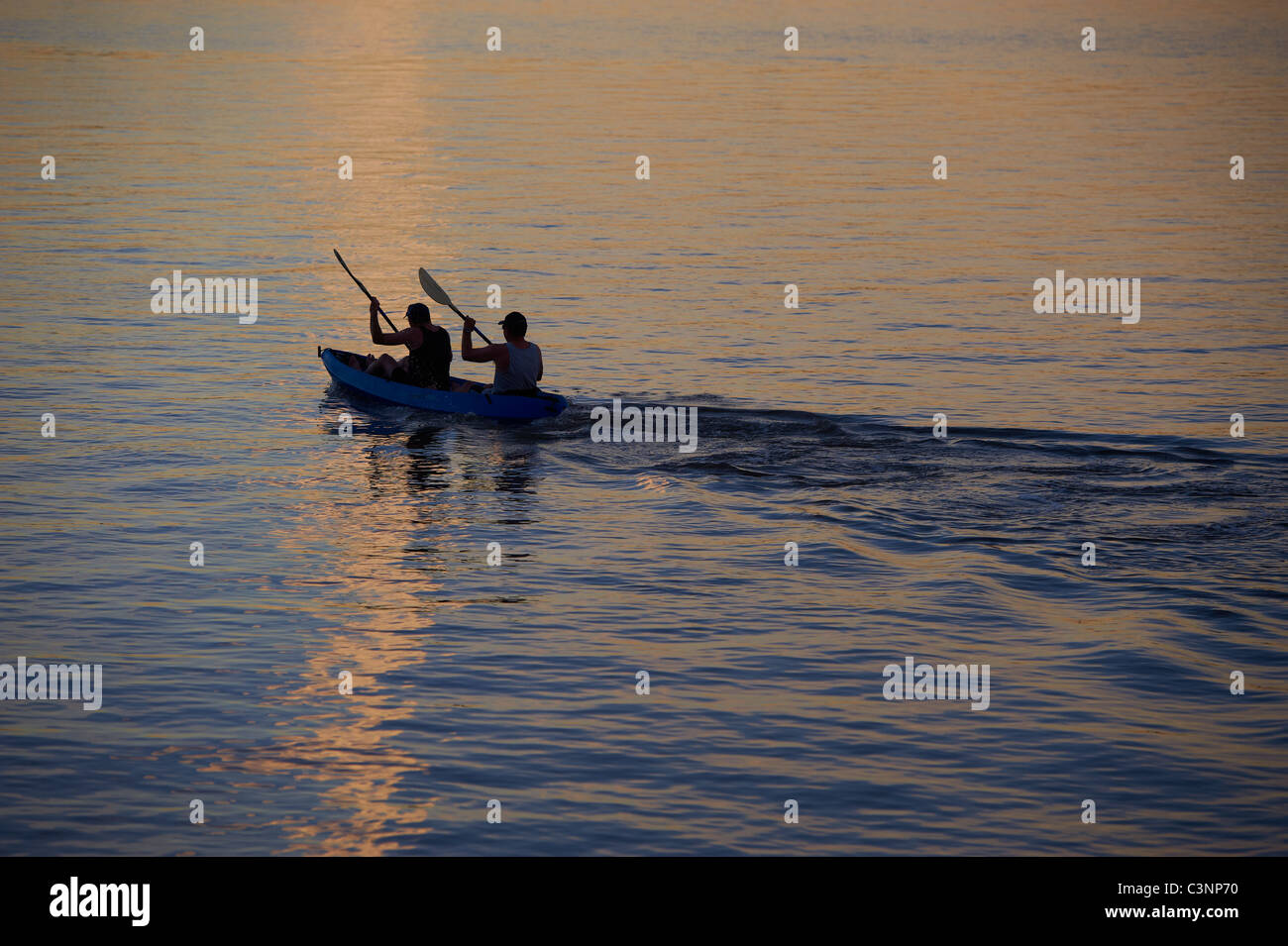 Kayaking on the Brisbane River Queensland Australia Stock Photo Alamy