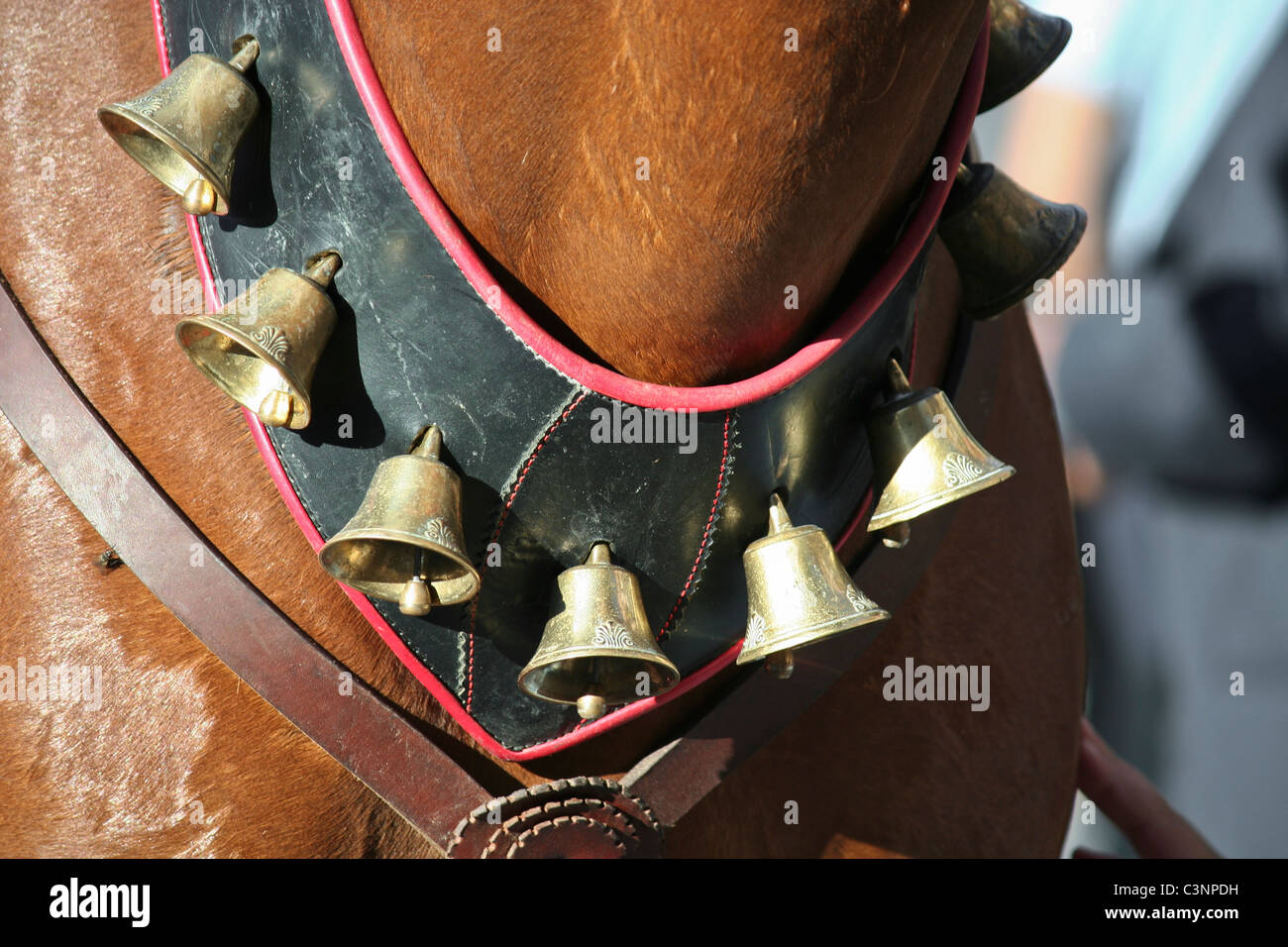 Detail of a horse collar during a traditional procession in Fonni, Sardinia (Italy). Stock Photo