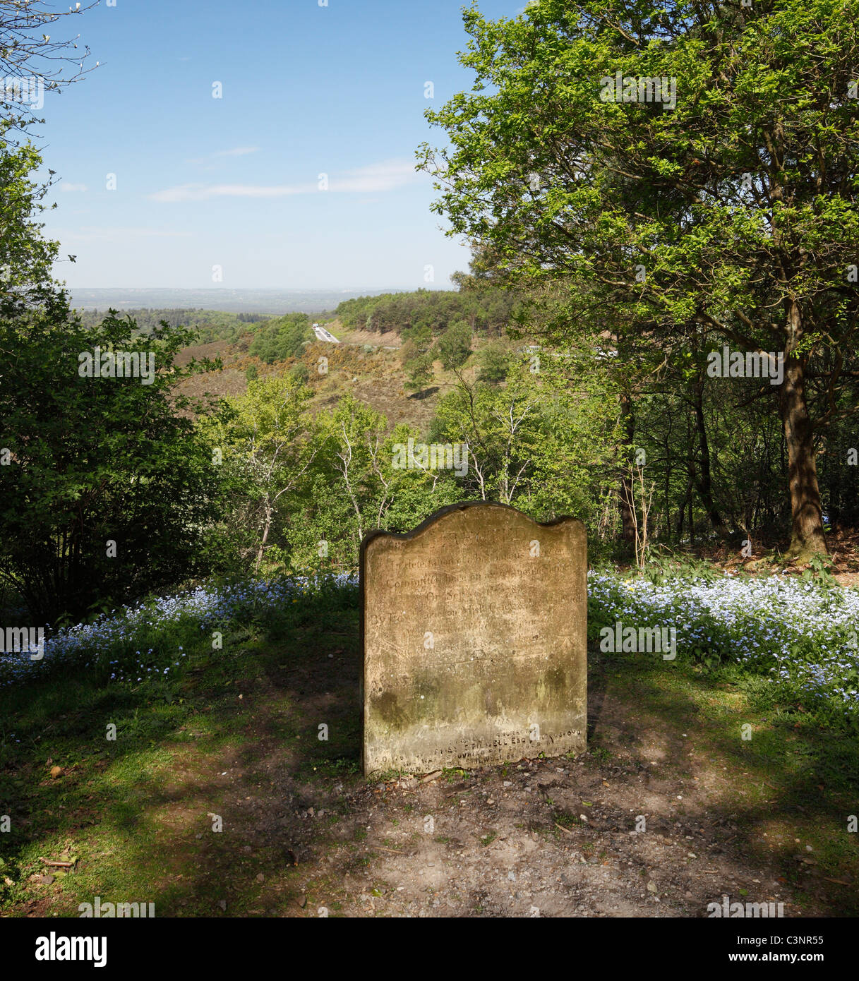 The Sailors Stone near Gibbet Hill marking the place of a murder in 1786. Hindhead common, Surrey, England, UK. Stock Photo