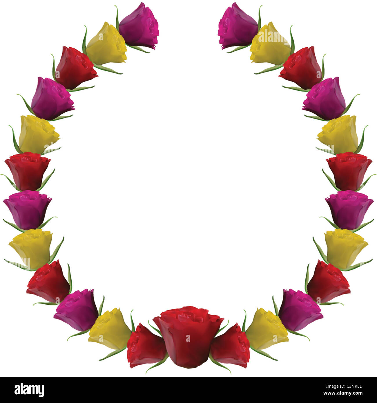 Realistic roses in red, pink and yellow displayed as circular wreath border Stock Photo