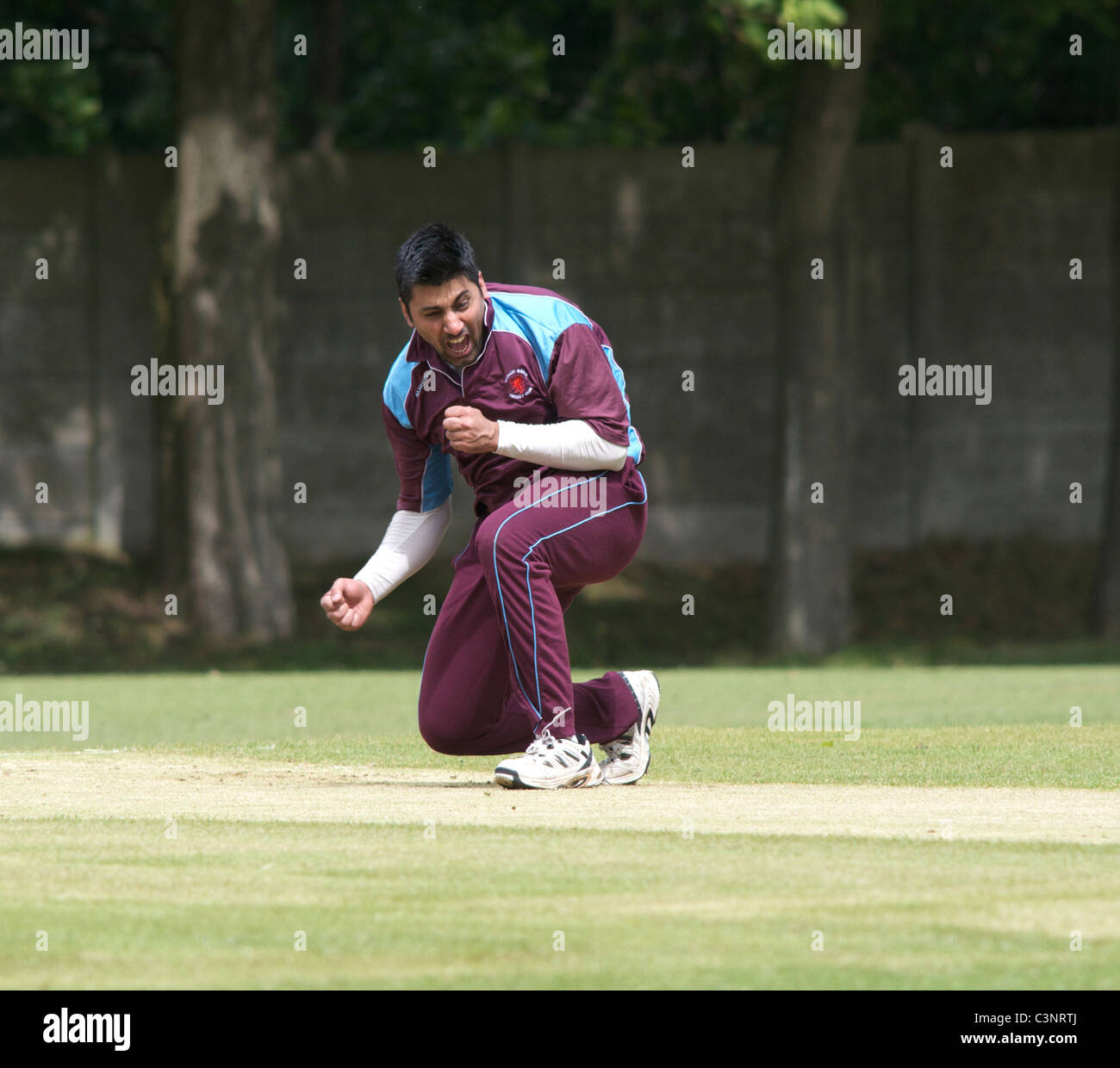 bowler celebrates a wicket Stock Photo Alamy