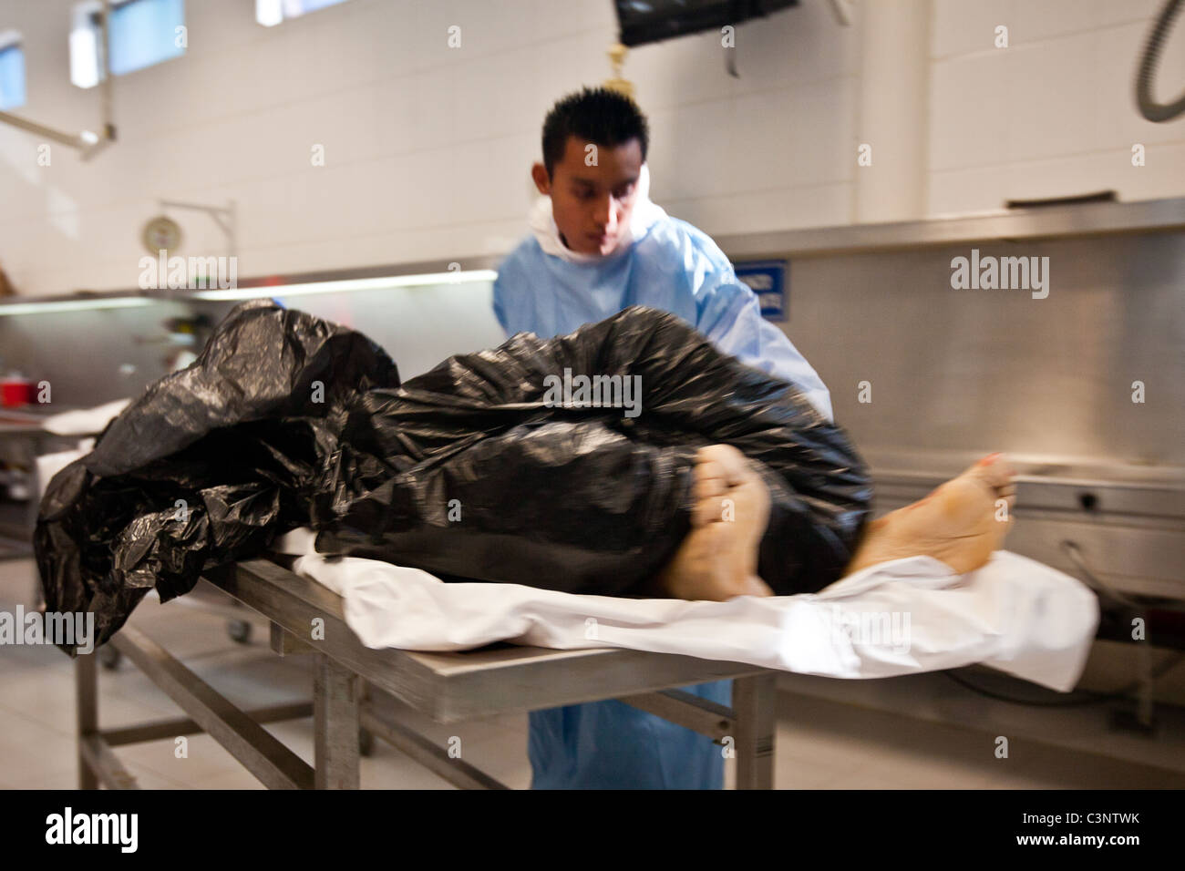 Forensic experts perform autopsies on victims of drug shootings and