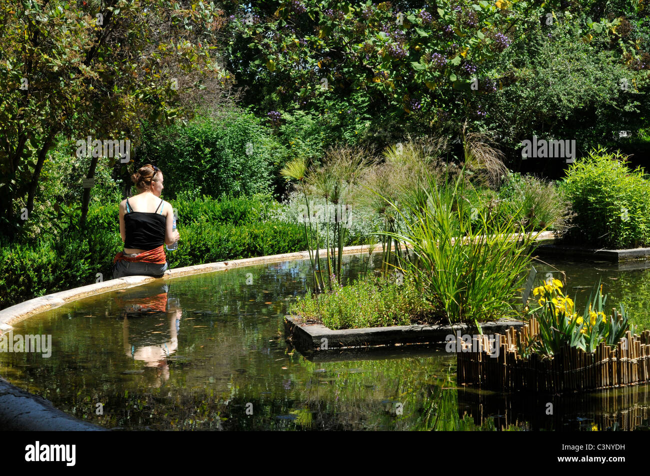 Tourist resting near the pond, Lisbon Botanical Garden, Principe Real, Lisbon, Portugal Stock Photo
