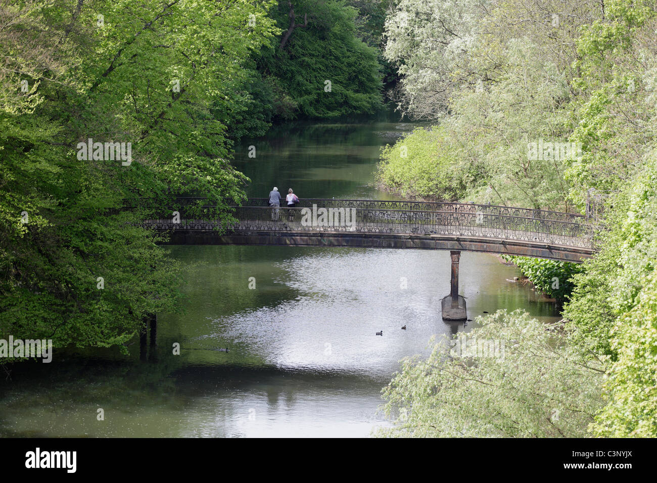 A bridge over the River Kelvin in the Botanic Gardens in the West End of Glasgow, Scotland, UK Stock Photo