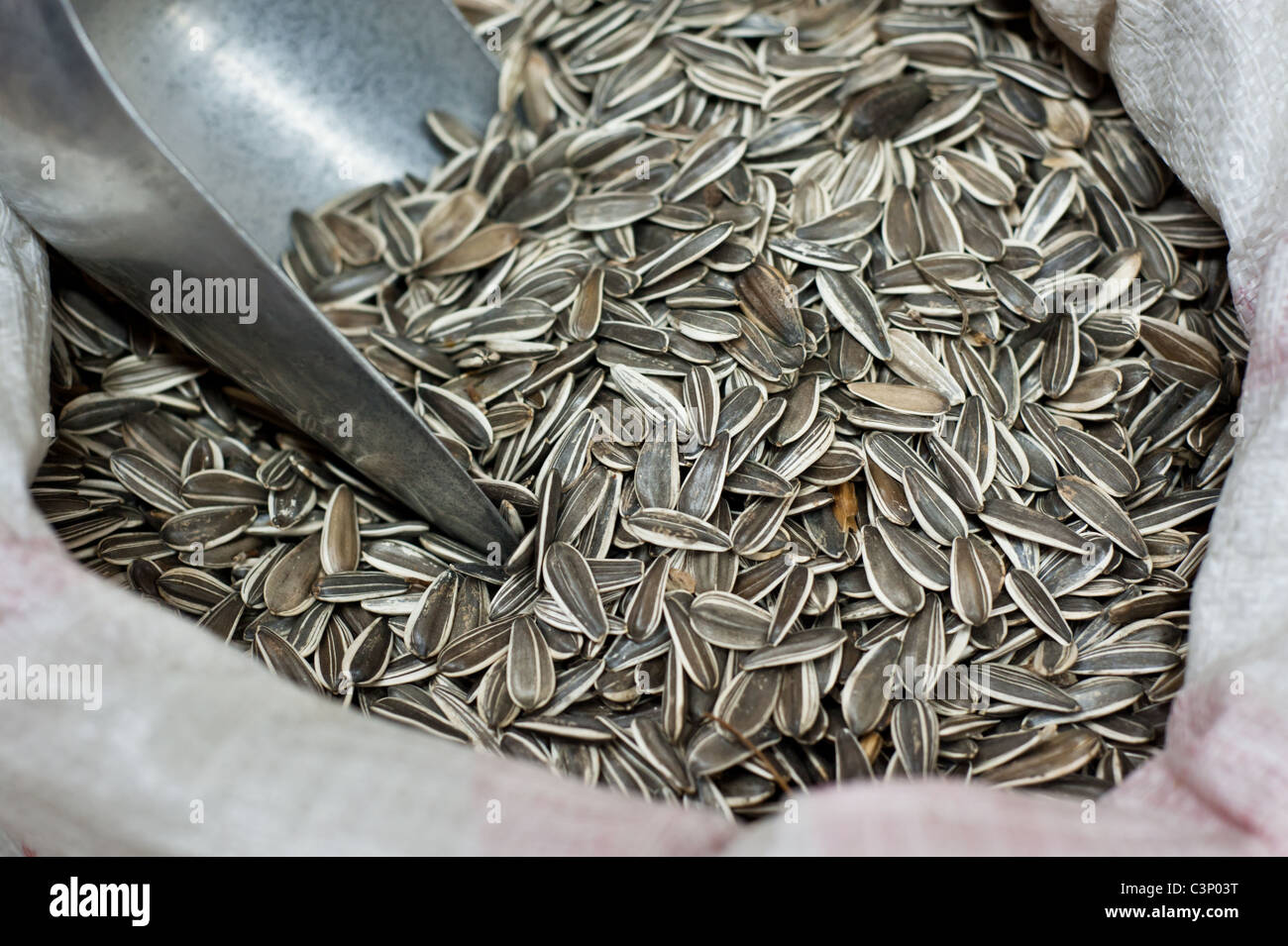 A metal scoop sits in a bag of sunflower seeds in a spice and dry goods store in Nazareth, Israel. Stock Photo