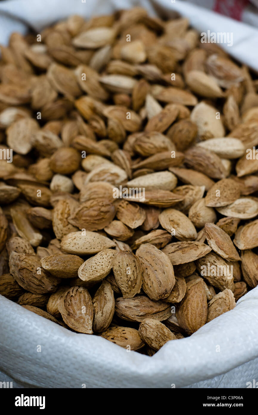 Bag of shells hires stock photography and images Alamy